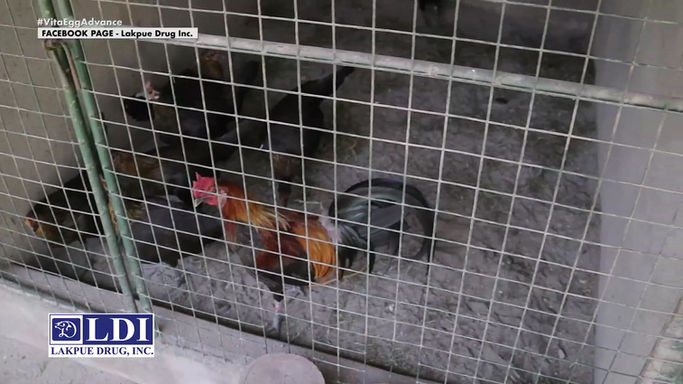 Powered by LDI September 6, 2025